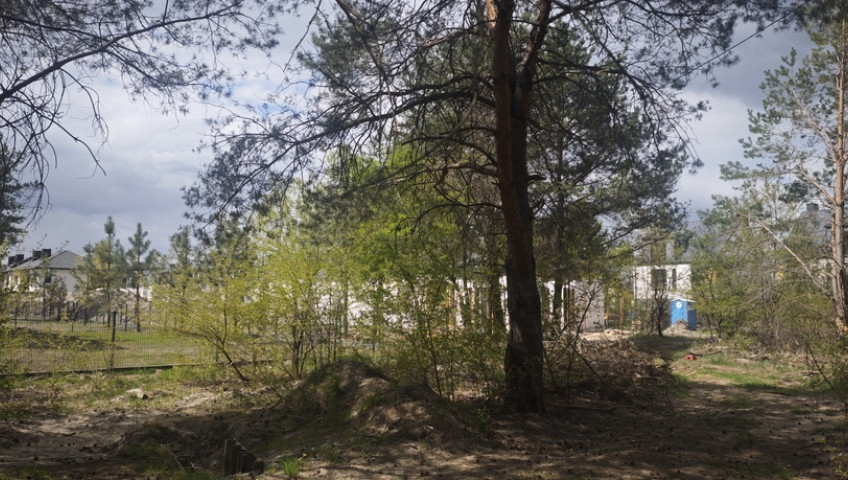 Działka Sprzedaż Lipków